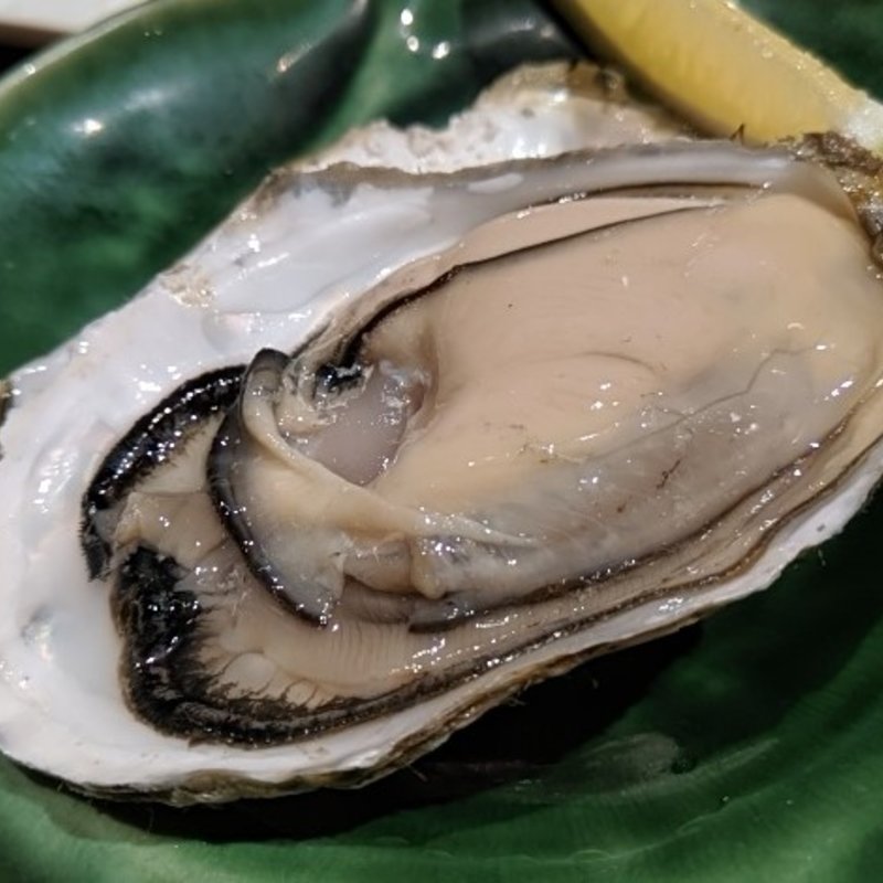 真がき(sashimi dining 魚浜 アンド バル)