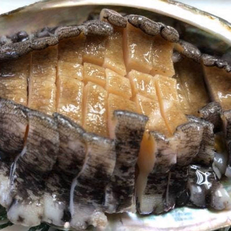 鮑の刺身(水沼さざえ店 )