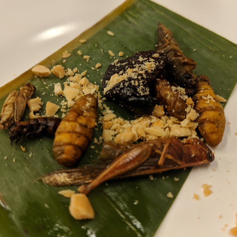 本日の虫さんたち(タイ屋台 999 梅田店 （カオカオカオ）)