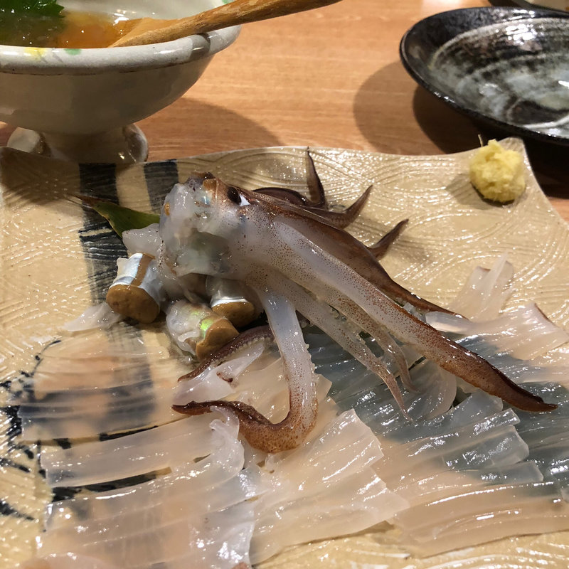イカの姿作り(開陽亭 本店)