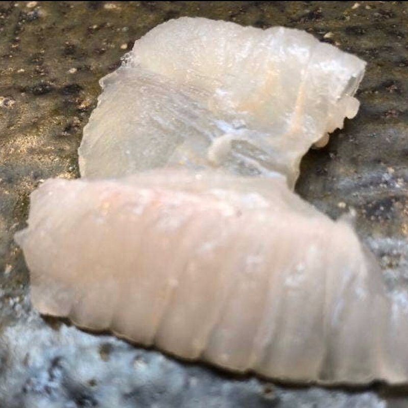 平目の縁側(鮨 一條)