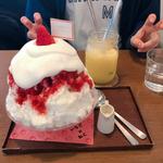 氷のショートケーキ(サカノウエカフェ )
