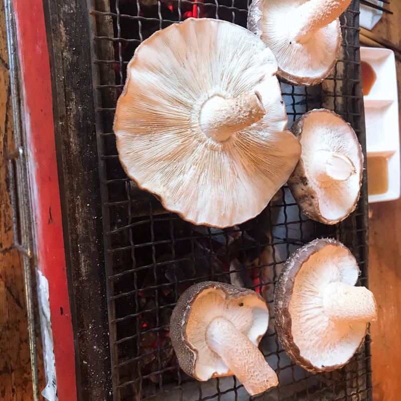 (お山のたいしょう （おやまのたいしょう）)