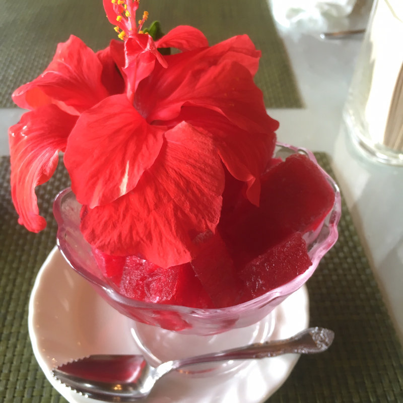 ハイビスカスシャーベット(シャロン )