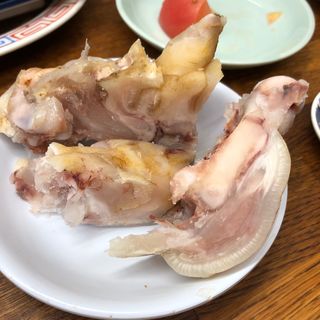 豚足(本家ホルモン道場)