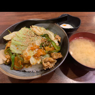 甘辛肉野菜丼(ぴーカラ丼)(伝説のすた丼屋 国立東店)