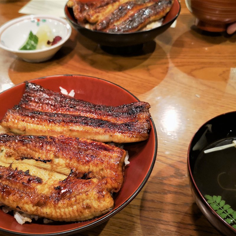  鰻づくし上のコース(鰻割烹 吉寅)