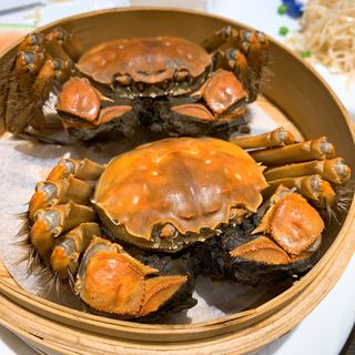 上海蟹(上海人家)