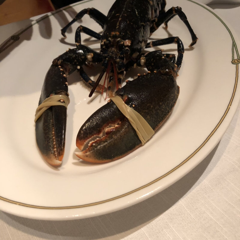 ディナーコース(中国飯店 琥珀宮(コハクキュウ))