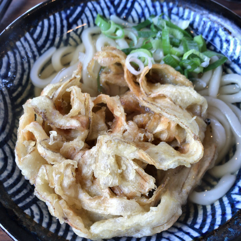 ごぼう天うどん(一角うどん)