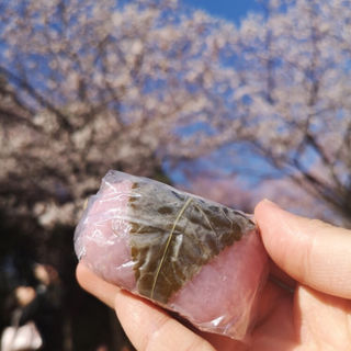 桜餅(梅花亭 ポルタ神楽坂)