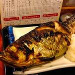魚