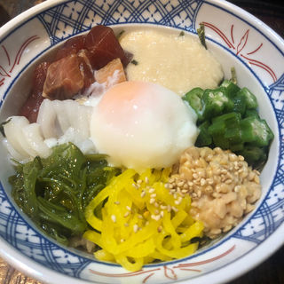 健康増進丼(魚百（うおぴー） 赤坂出張所)