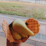 ゾウノハナソフトクリーム　抹茶(象の鼻カフェ)