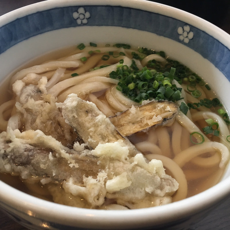 ごぼう天うどん(ウドン ディーラー （UDON DEALER）)