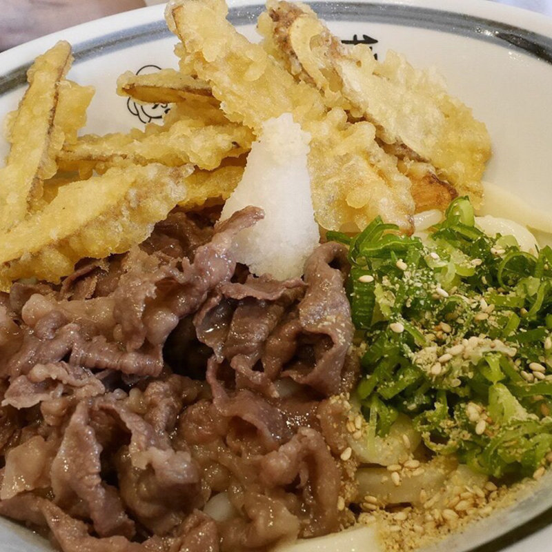 牛肉ごぼう天丼ぶっかけ(手作りうどん讃岐 天粉盛)