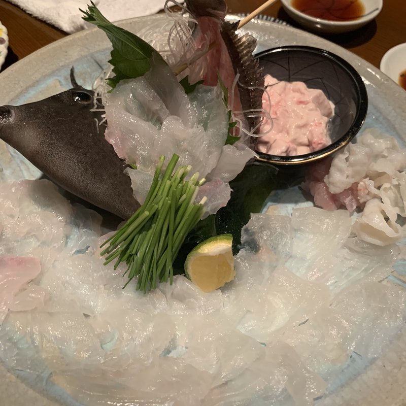 本カワハギ(たかのすけ)