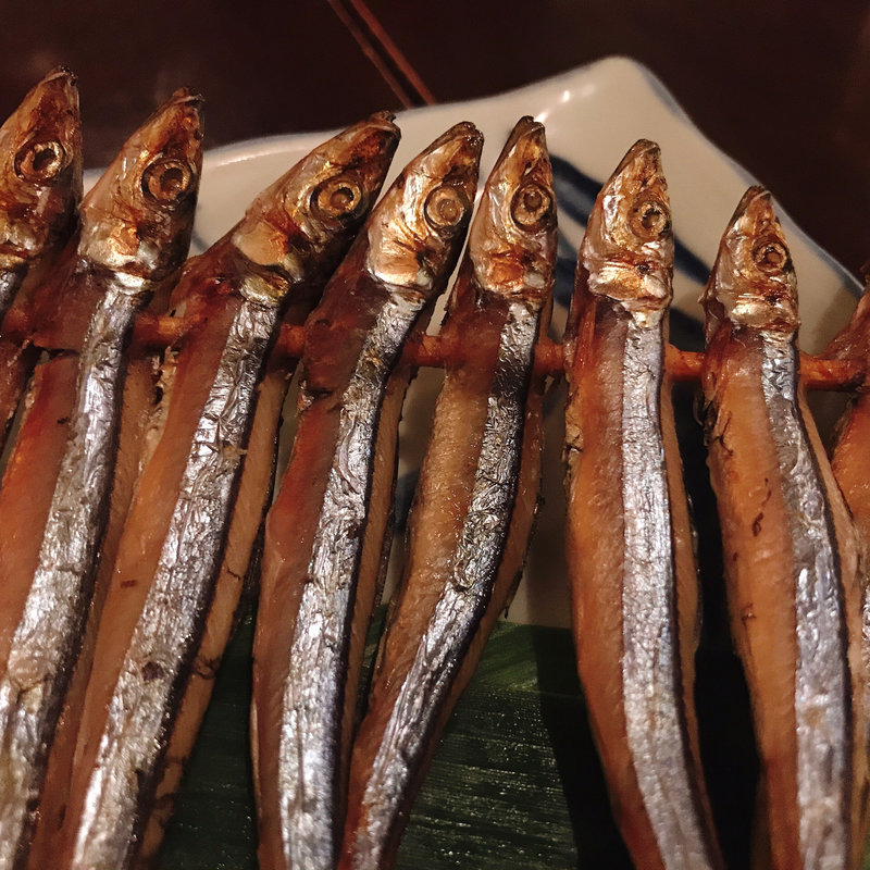 メヒカリ(三代目・魚真)