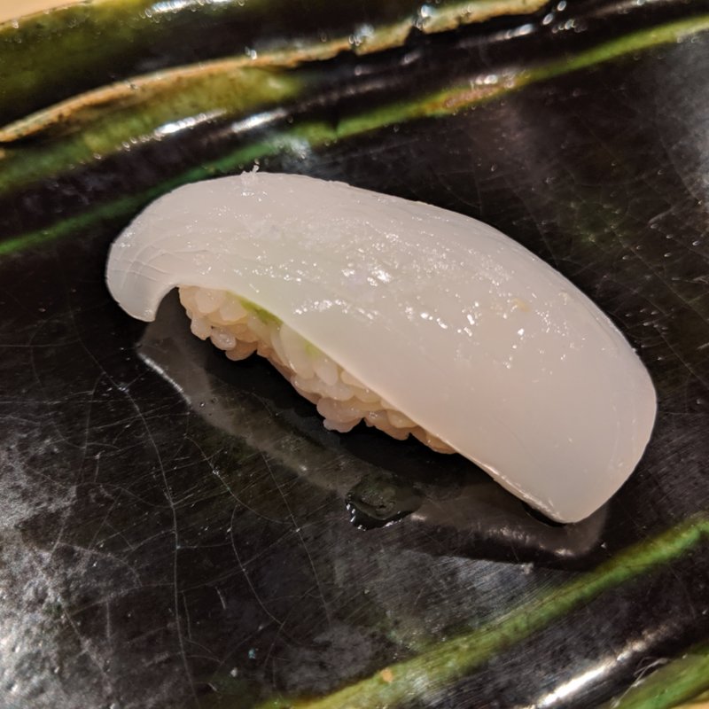 ヤリイカ(月の木 （つきのき）)