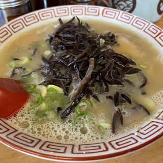 全国のキクラゲラーメンの人気口コミランキング 1ページ目 おいしい一皿が集まるグルメコミュニティサービス Sarah