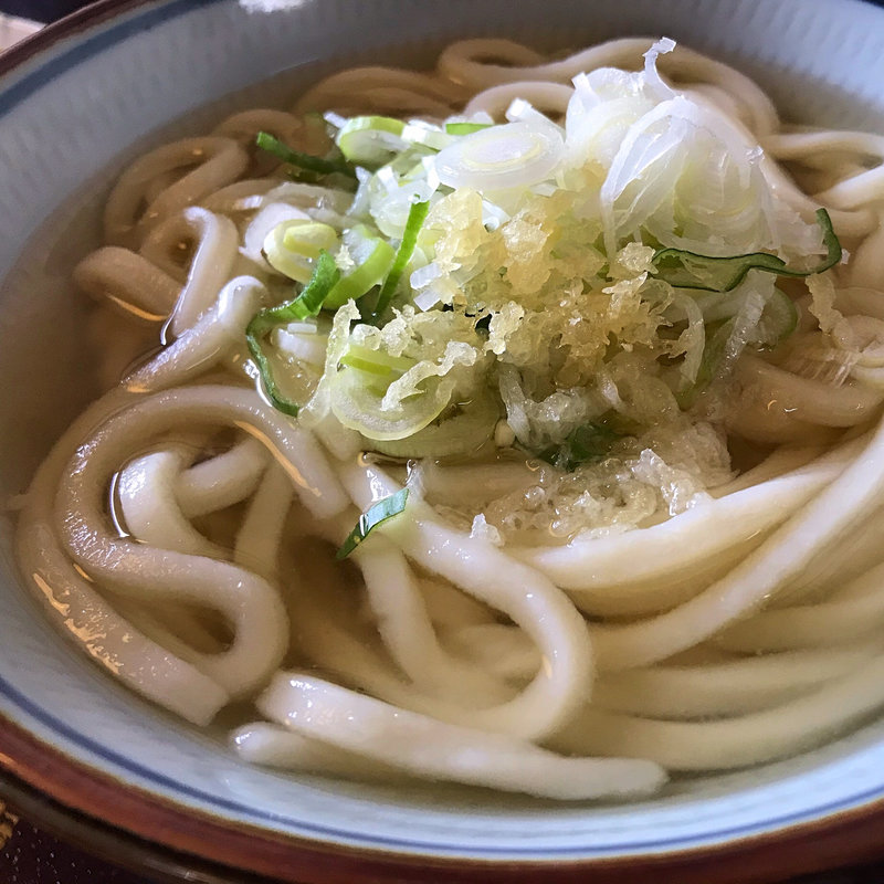 かけうどん並(蒼乃樹（あおのき） 香川のうどん)