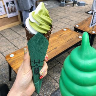 金賞抹茶×東京牛乳ミックスソフトクリーム(浅草 茶蔵)
