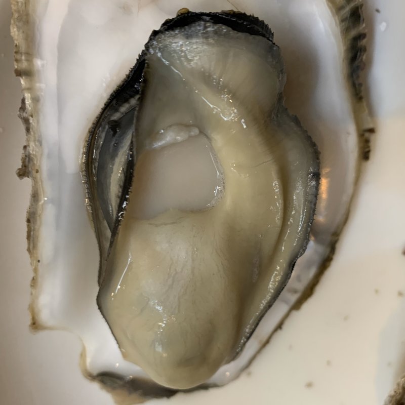 牡蠣(道の駅 日立おさかなセンター )