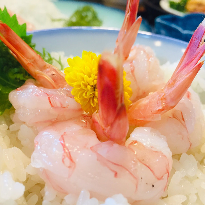 たかえび丼(お食事処 玉鱗 （オショクジドコロ ギョクリン）)