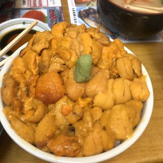 バフンウニ丼(北のどんぶり屋　滝波食堂)