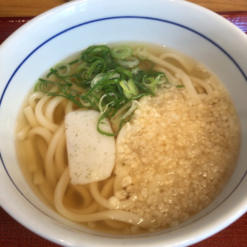 はいからうどん並(なか卯飯田橋東口店)