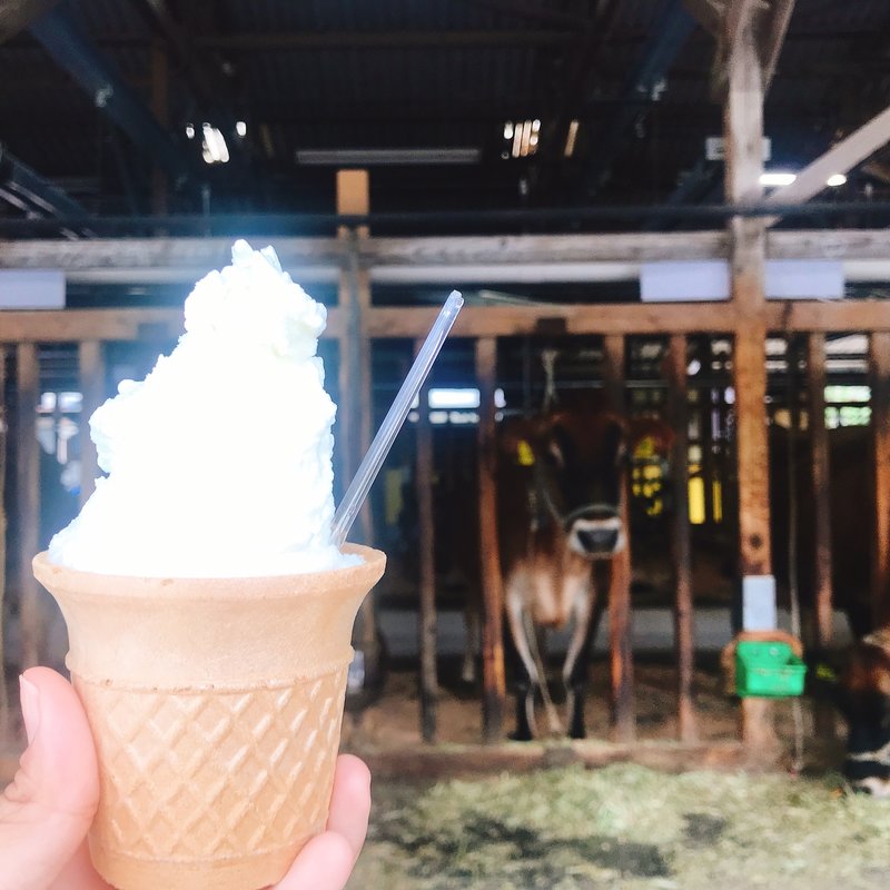ジャージーアイス(いでぼく　ミルクハウス （MILK HOUSE）)