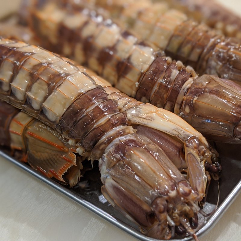 特シャコ浜茹で(メス)(香華)