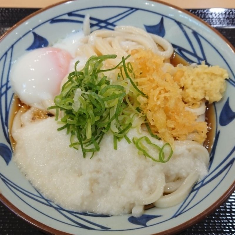 冷とろ玉うどん(大)(丸亀製麺)