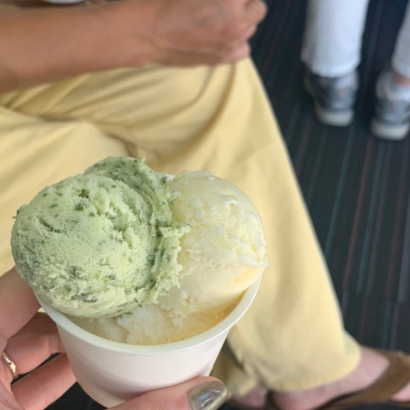 プラム　とうもろこし　明日葉(トリトン)