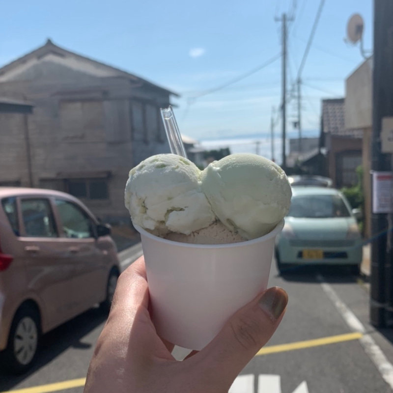 チャイ　枝豆　アボカド(トリトン)