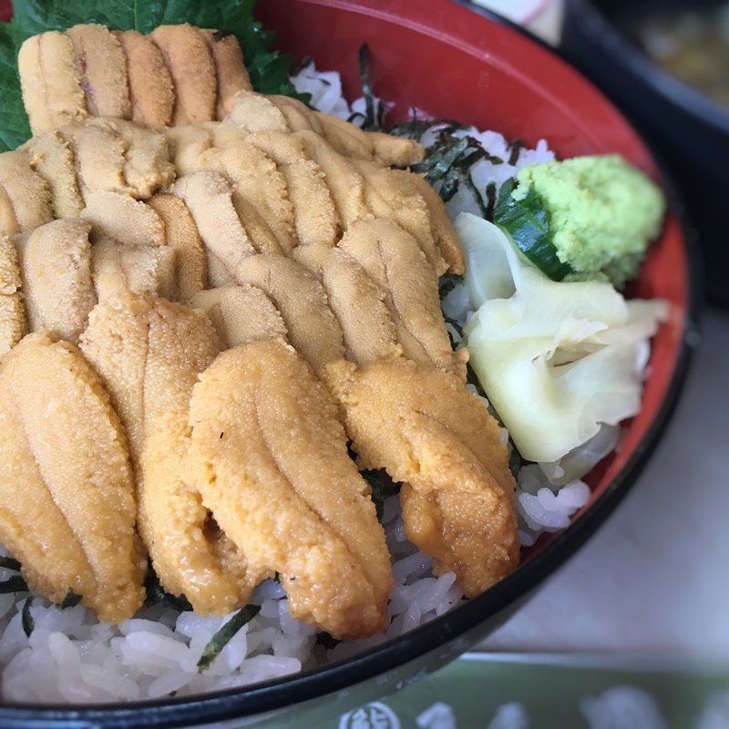 生うに丼(おかせい)