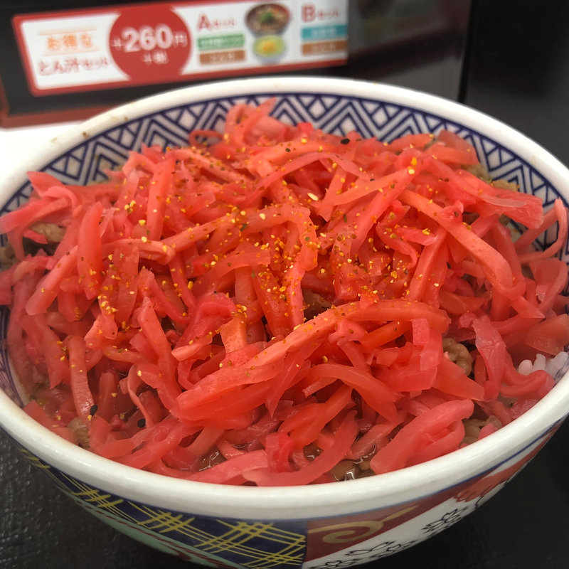 牛丼 並盛(吉野家 ２６号線泉佐野店)