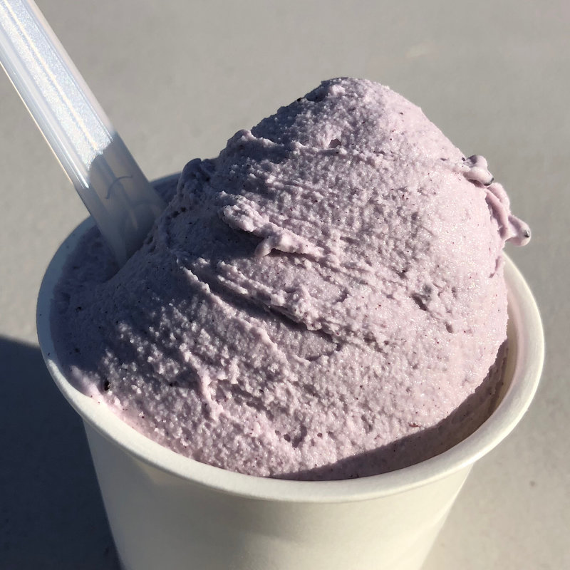 美山牛乳ジェラート シングル（ブルーベリー）(牛乳工房 )