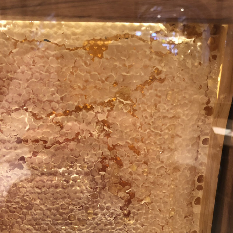 ランチビュッフェ(新宿ランブータン)