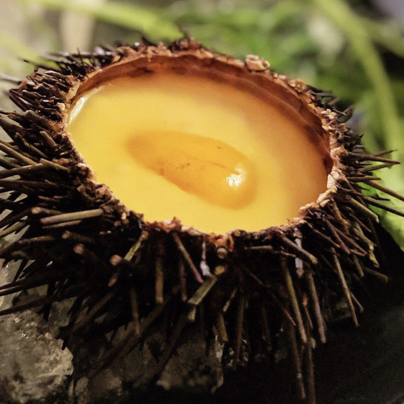 うにのプリン(FishBankTokyo)