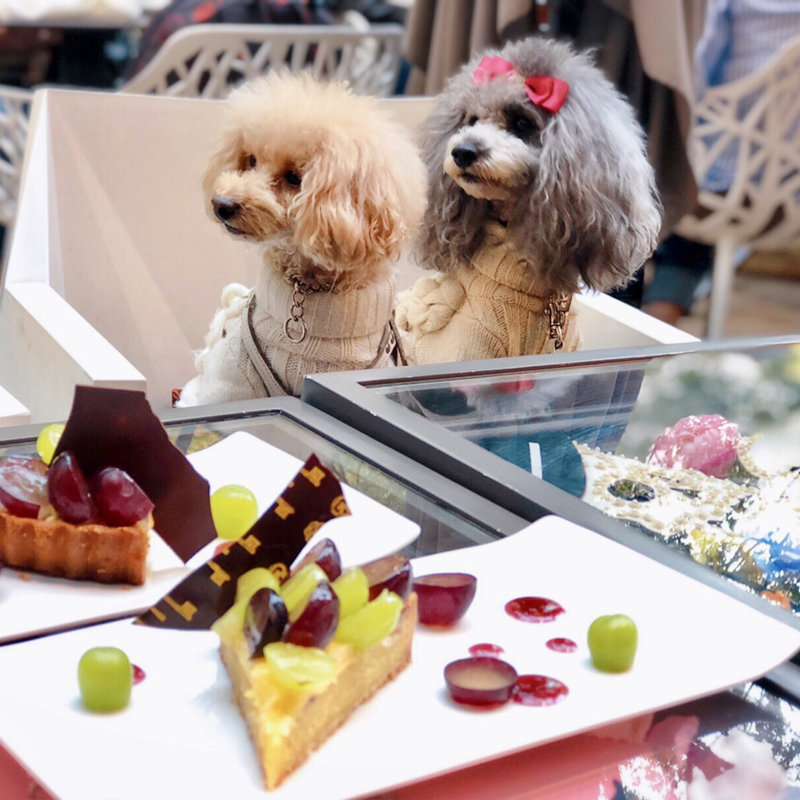 (カフェ＆ダイニング ゼルコヴァ)