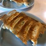 餃子(金ちゃんラーメン高畠店)