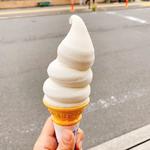 バニラソフトクリーム(高田アイス )