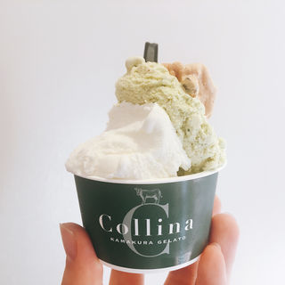 ジェラート(Collina KAMAKURA GELATO)