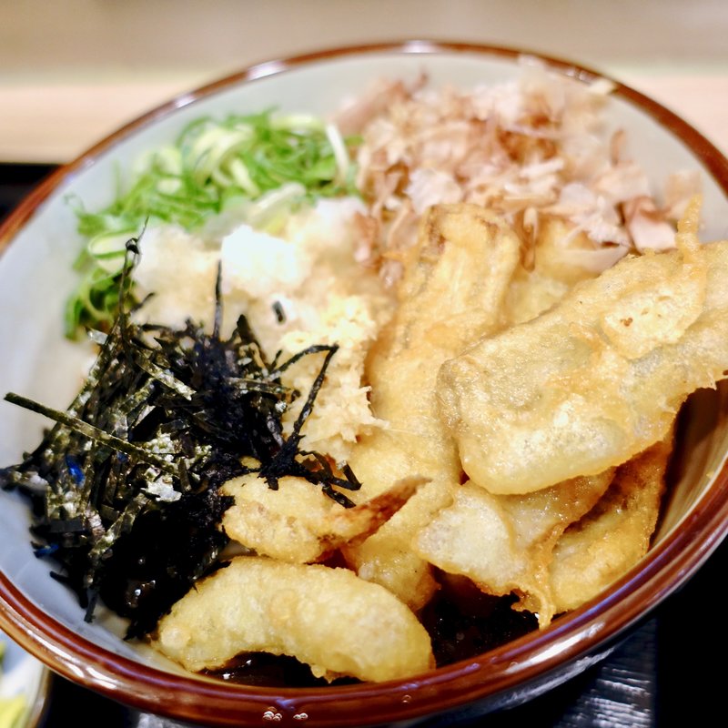 ゆずおろしごぼう天うどん(めん次郎)