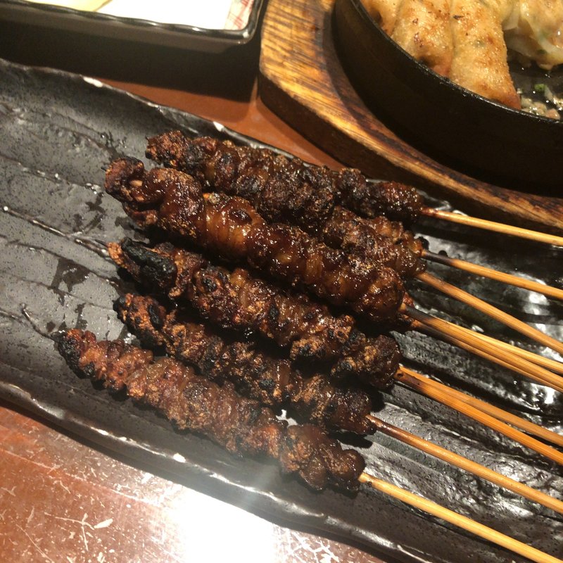 皮10本(九州 熱中屋 田町芝浦 LIVE  （ネッチュウヤタマチシバウラライブ）)