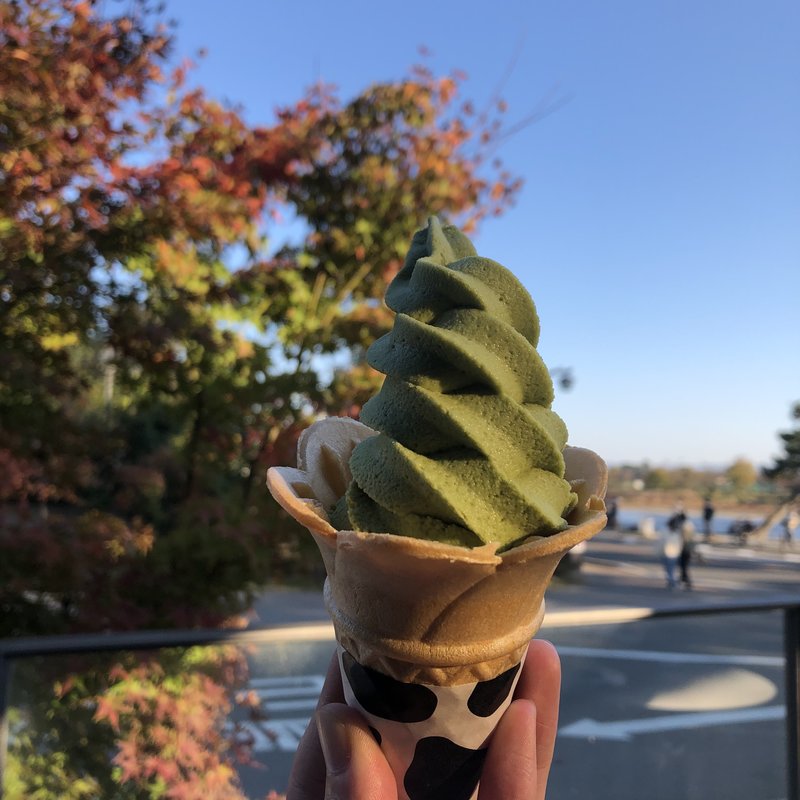 抹茶ソフトクリーム(和 cafe ひゅーめ )