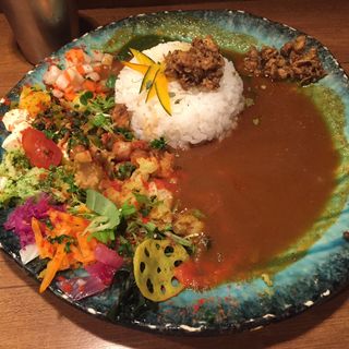ボタニカリービーフ(BOTANI:CURRY)