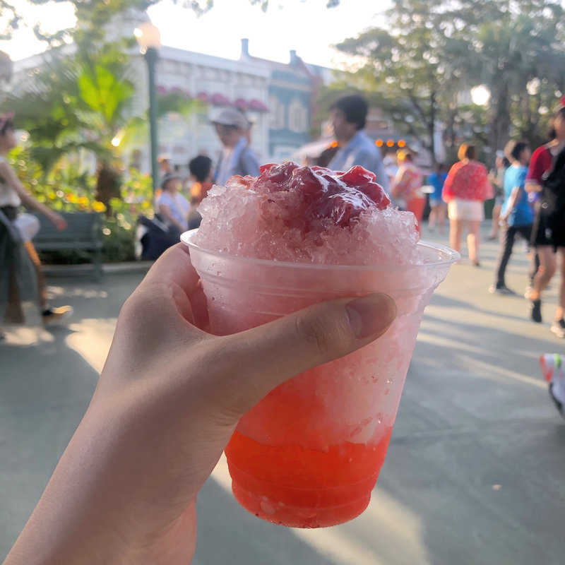 (ディズニーランド)