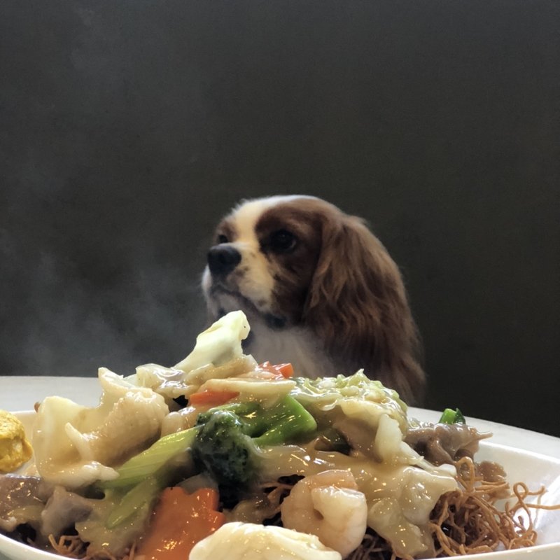 ヤキソバ(ウミガメ食堂)